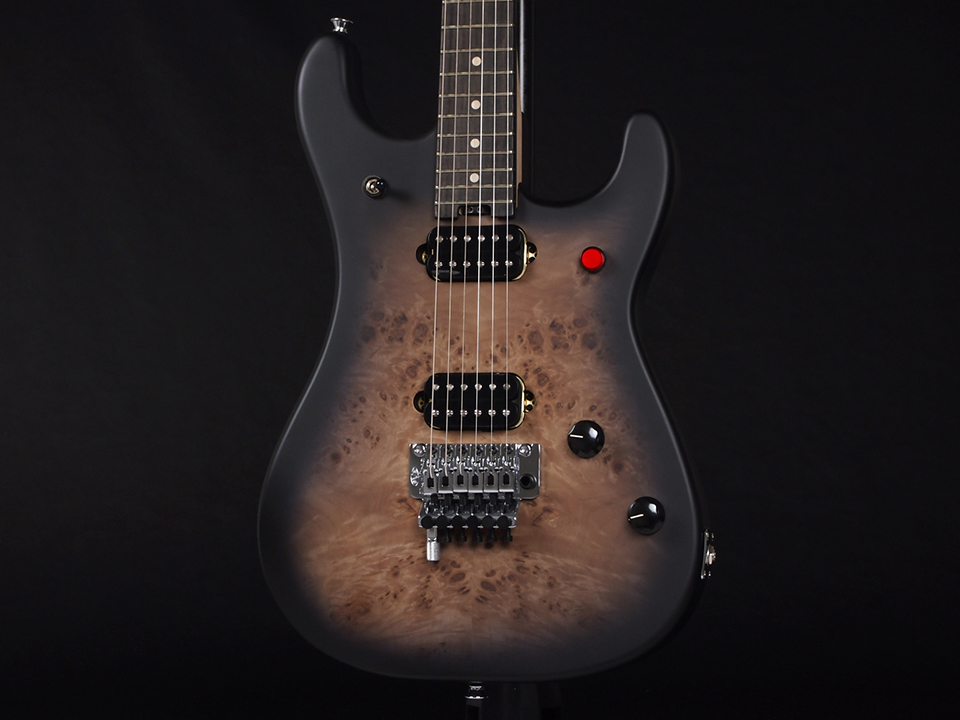 EVH 5150 Series Deluxe Poplar Burl Black Burst | SONIX オンライン