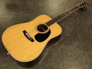 aria ドレッドノート　初心者　入門　フォーク　生ギター　国産　made in japan