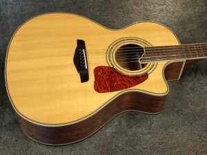 ヤイリ YAMAHA MORRIS ヤマハ モーリス 初心者　入門　タカミネ　takamine