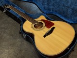 ヤイリ YAMAHA MORRIS ヤマハ モーリス 初心者　入門　タカミネ　takamine