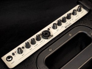 ビンゴ  Phil Jones Bass PJB Roland AC-60 90 フィルジョーンズ ローランド AC