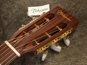 タカミネ マーチン martin gibson ギブソン eastman 