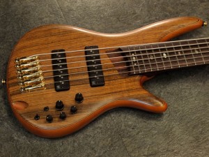 アイバニーズ イバニーズ SR ATK BTB TUNE SCHECTER Bacchus 