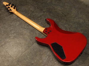 ESP EDWARDS ホライゾン ホライズン キコ ルーレイロ テクニカル 速弾き