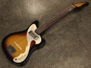 TEISCO KAWAI GUYATONE YAMAHA GS ビザール　BIZERRE ゼンオン　全音