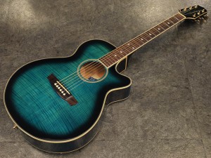 エレアコ　クーダー takamine 共和商会 antique noel