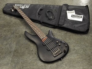 アイバニーズ イバニーズ 星野楽器 warwick spector schecter esp bartolini バルト