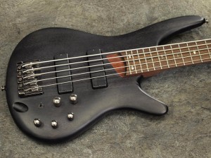 アイバニーズ イバニーズ 星野楽器 warwick spector schecter esp bartolini バルト