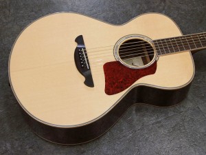 フジゲン　fujigen fgn history ジェームス　ジェイムス　ヒストリー　島村　初心者