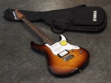 ヤマハ pacifica パシフィカ 入門 ビギナー schecter