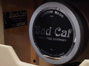  Bad Cat Alley Cat 3