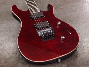 ポールリードスミス PRS santana custom 24 22 ce 305 513 esp schecter