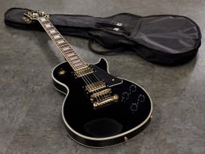 初心者　入門　ビギナー　女性　EPIPHO　レスポール　LES PAUL  GRASS TOKAI  BACCHUS  