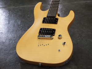 チャッティングバード caparison キャパリソン schecter esp edwards 