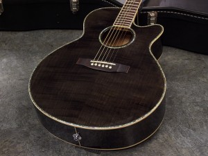 タカミネ　エレアコ　初心者　クーダー　takamine 入門　ヤマハ　yamaha antique noel