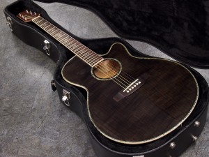 タカミネ　エレアコ　初心者　クーダー　takamine 入門　ヤマハ　yamaha antique noel