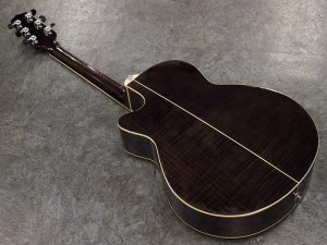 タカミネ　エレアコ　初心者　クーダー　takamine 入門　ヤマハ　yamaha antique noel