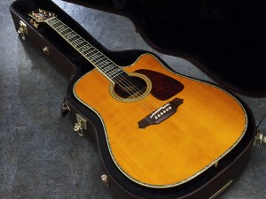 タカミネ エレアコ 200 ptu dmp ドレッドノート martin taylor 