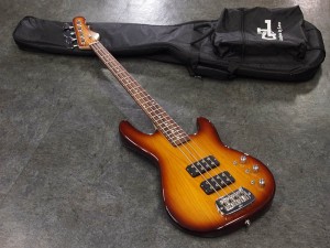 GL fender フェンダー music man ミュージックマン jazz precision sting ray