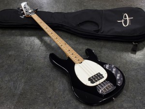 Music man ミュージックマン スティングレイ Stingray sterling スターリン Bongo ボンゴ