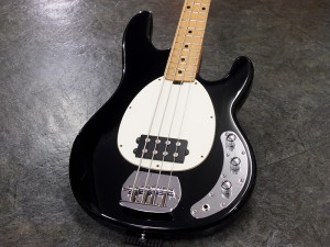 Music man ミュージックマン スティングレイ Stingray sterling スターリン Bongo ボンゴ