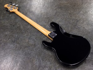 Music man ミュージックマン スティングレイ Stingray sterling スターリン Bongo ボンゴ