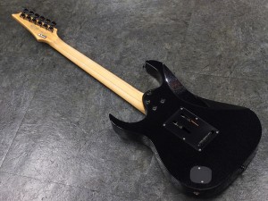 アイバニーズ イバニーズ 星野楽器 j-custom S RGA フジゲン 富士弦 FUJIGEN