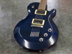 ヤマハ SG pacifica パシフィカ RGA RGX 