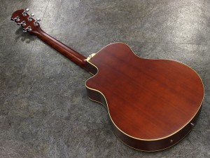 ヤマハ FG FS  オベーション CPS A1 A3 女性　初心者　子供　お子様　スモール　エレアコ