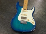 イーエスピー edwards エドワーズ grass roots グラスルーツ 9mm 滝 schecter