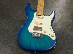 イーエスピー edwards エドワーズ grass roots グラスルーツ 9mm 滝 schecter