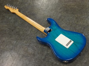 イーエスピー edwards エドワーズ grass roots グラスルーツ 9mm 滝 schecter