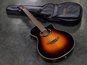 ヤマハ FG FS LL APX CPX AC taylor martin gibson morris headway