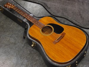 マーチン MARTIN D-18 D-35 D-45 D-41 D-42 HD-28V コア　ハワイアン　HAWAIAN