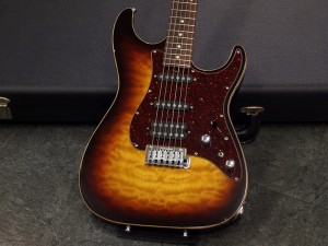 トム アンダーソン john suhr vigier schecter ex t sd nv pt