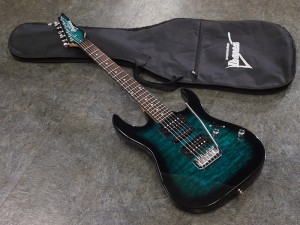 アイバニーズ イバニーズ 星野楽器 rg s rgd rga sv sa fr arz 初心者 入門 ビギナー