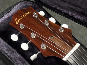 イーストマン es-175 gibson ギブソン es-335 l-5 l-4 les paul