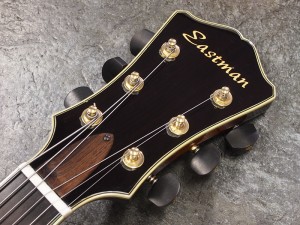 イーストマン es-175 gibson ギブソン es-335 l-5 l-4 full acoustic