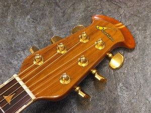 オベーション yamaha takamine adamas celebrity applause 