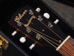 ギブソン epiphone j-45 j-50 hummingbird dove southern jumbo sj-2