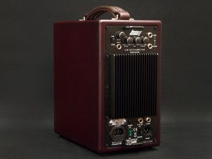 フィル ジョーンズ ベース PJB Briefcase AAD  ベース　カブ　キャブ　AER POLYTONE ポリト