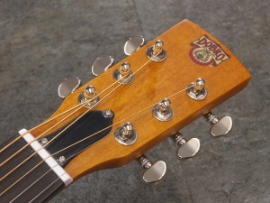 ドブロ epiphone エピフォン fender gretsch national taylor