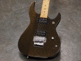 キラー　ファシスト　聖飢魔II　バイス　ヴァイス　ルーク篁　TRS FLOYD ROSE フロイドローズ