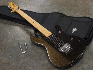 キラー　ファシスト　聖飢魔II　バイス　ヴァイス　ルーク篁　TRS FLOYD ROSE フロイドローズ