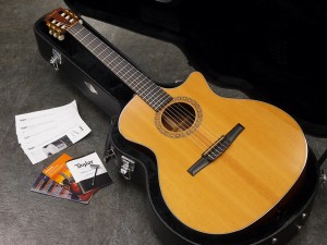 テイラー タイラー martin gibson aria yamaha ncx ntx 214 314