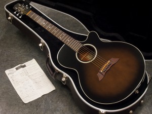 Takamine PTU107 GBB 税込販売価格 ￥54,000- 中古 国産タカミネの中古品!!  コンパクト・ボディで人気の100シリーズが入荷しました。 « 浜松の中古楽器の買取＆販売 ギターとリペア(修理)の事ならソニックス