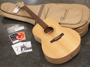 ノーマンギター　ゴダン　godin サイモン＆パトリック　シーガル　seagull simon & patrick