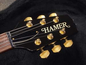 ヘイマー ハイマー gibson les paul standard studio junior epiphone 