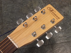 ノーマンギター　ゴダン　godin サイモン＆パトリック　シーガル　seagull simon & patrick　