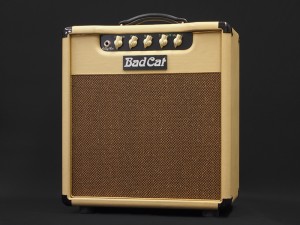 バッドキャット matchless two-rock box fender mesa hiwatt